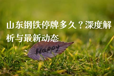 山东钢铁停牌多久？深度解析与最新动态_https://www.fsyjjx.cn_理财资讯_第1张