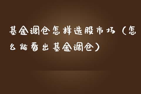 基金调仓怎样选股市场（怎么能看出基金调仓）_https://www.fsyjjx.cn_问财精选_第1张