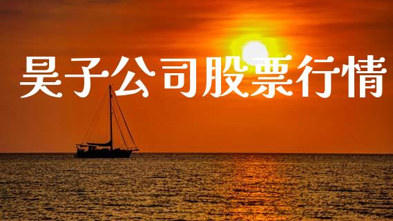 昊子公司股票行情_https://www.fsyjjx.cn_股票指导_第1张