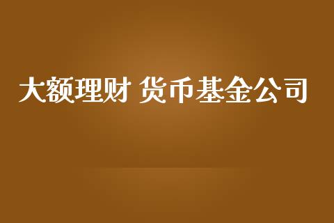 大额理财 货币基金公司_https://www.fsyjjx.cn_问财精选_第1张