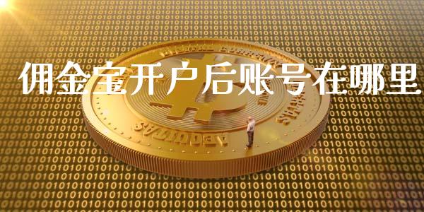 佣金宝开户后账号在哪里_https://www.fsyjjx.cn_股票指导_第1张