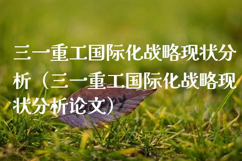 三一重工国际化战略现状分析（三一重工国际化战略现状分析论文）_https://www.fsyjjx.cn_股市分析_第1张