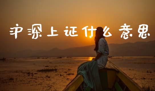 沪深上证什么意思_https://www.fsyjjx.cn_期货研报_第1张