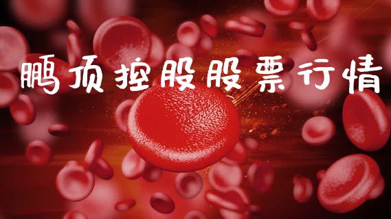 鹏顶控股股票行情_https://www.fsyjjx.cn_股市分析_第1张