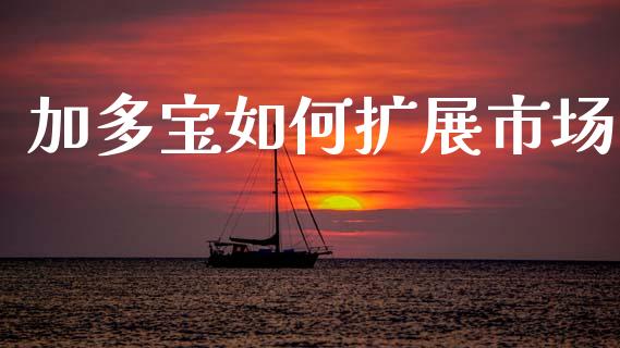 加多宝如何扩展市场_https://www.fsyjjx.cn_期货在线_第1张