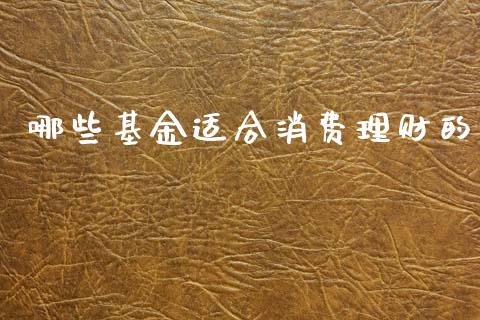 哪些基金适合消费理财的_https://www.fsyjjx.cn_问财精选_第1张