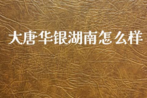 大唐华银湖南怎么样_https://www.fsyjjx.cn_理财资讯_第1张