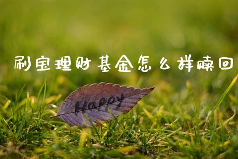 刷宝理财基金怎么样赎回_https://www.fsyjjx.cn_问财精选_第1张