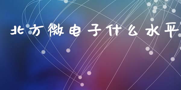 北方微电子什么水平_https://www.fsyjjx.cn_股市分析_第1张