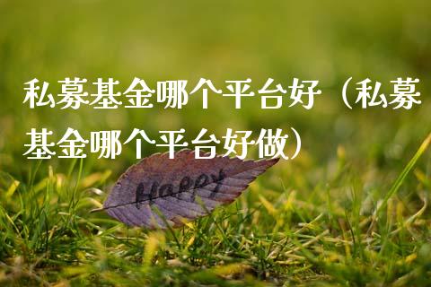 私募基金哪个平台好（私募基金哪个平台好做）_https://www.fsyjjx.cn_问财精选_第1张