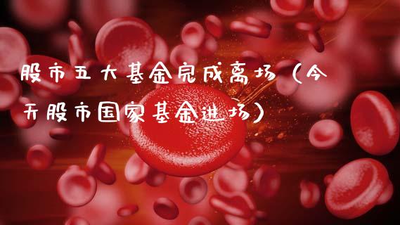 股市五大基金完成离场（今天股市国家基金进场）_https://www.fsyjjx.cn_问财精选_第1张