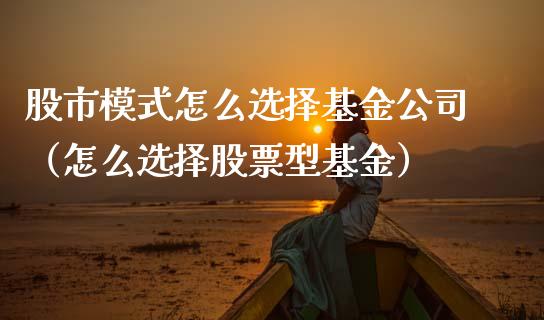 股市模式怎么选择基金公司（怎么选择股票型基金）_https://www.fsyjjx.cn_问财精选_第1张