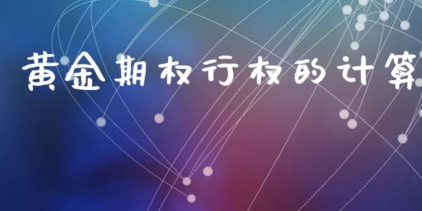 黄金期权行权的计算_https://www.fsyjjx.cn_期货资讯_第1张