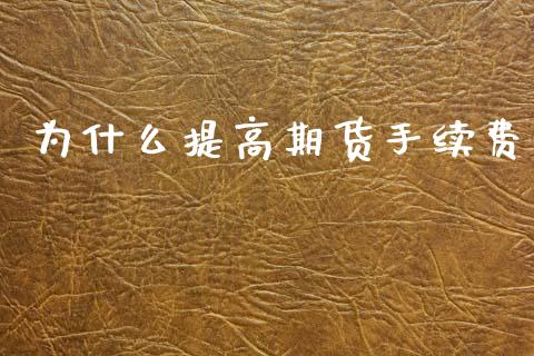 为什么提高期货手续费_https://www.fsyjjx.cn_股指期货_第1张
