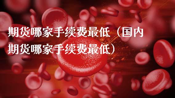 期货哪家手续费最低（国内期货哪家手续费最低）_https://www.fsyjjx.cn_期货研报_第1张