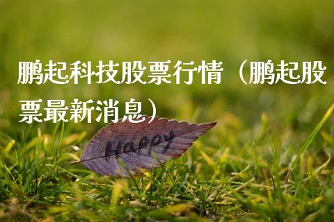 鹏起科技股票行情（鹏起股票最新消息）_https://www.fsyjjx.cn_股指期货_第1张