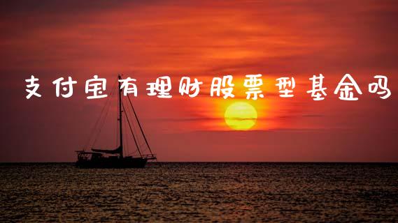 支付宝有理财股票型基金吗_https://www.fsyjjx.cn_理财资讯_第1张