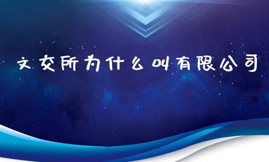 文交所为什么叫有限公司_https://www.fsyjjx.cn_股指期货_第1张