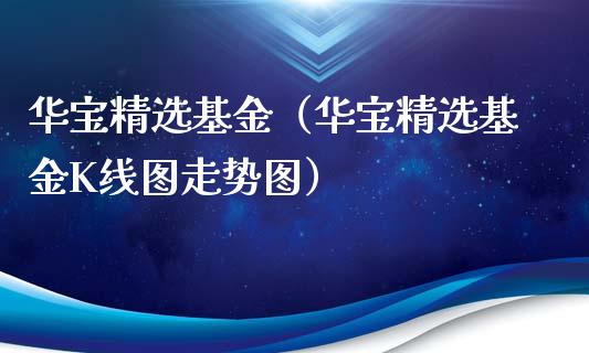 华宝精选基金（华宝精选基金K线图走势图）_https://www.fsyjjx.cn_问财精选_第1张