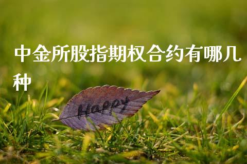 中金所股指期权合约有哪几种_https://www.fsyjjx.cn_期货资讯_第1张