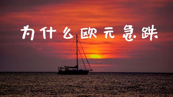 为什么欧元急跌_https://www.fsyjjx.cn_股指期货_第1张