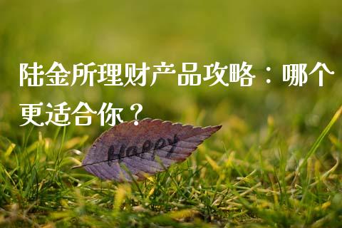 陆金所理财产品攻略：哪个更适合你？_https://www.fsyjjx.cn_股市分析_第1张