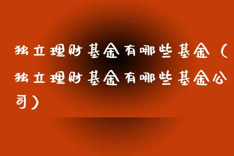 独立理财基金有哪些基金（独立理财基金有哪些基金公司）_https://www.fsyjjx.cn_问财精选_第1张