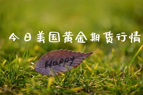 今日美国黄金期货行情_https://www.fsyjjx.cn_期货研报_第1张