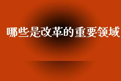 哪些是改革的重要领域_https://www.fsyjjx.cn_股指期货_第1张