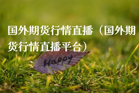 国外期货行情直播（国外期货行情直播平台）_https://www.fsyjjx.cn_期货在线_第1张