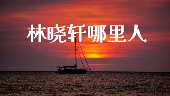 林晓轩哪里人_https://www.fsyjjx.cn_股指期货_第1张
