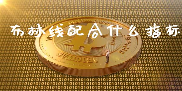 布林线配合什么指标_https://www.fsyjjx.cn_问财精选_第1张