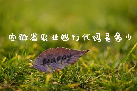 安徽省农业银行代码是多少_https://www.fsyjjx.cn_股市分析_第1张