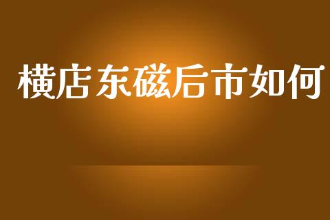 横店东磁后市如何_https://www.fsyjjx.cn_股票指导_第1张
