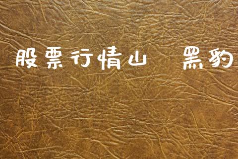 股票行情山東黑豹_https://www.fsyjjx.cn_股市分析_第1张