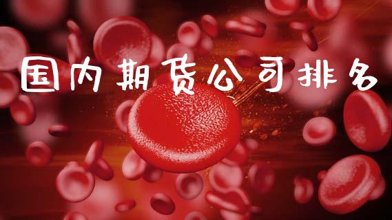 国内期货公司排名_https://www.fsyjjx.cn_期货研报_第1张
