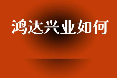 鸿达兴业如何_https://www.fsyjjx.cn_期货研报_第1张