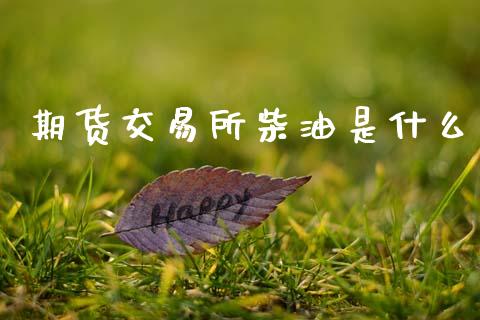 期货交易所柴油是什么_https://www.fsyjjx.cn_期货在线_第1张
