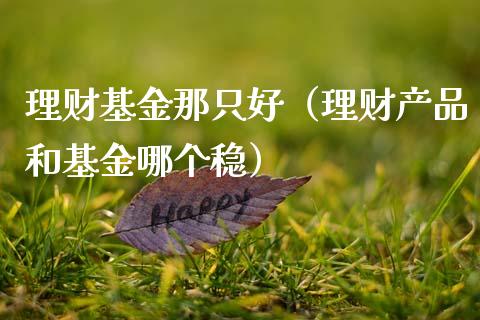 理财基金那只好（理财产品和基金哪个稳）_https://www.fsyjjx.cn_问财精选_第1张
