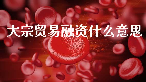 大宗贸易融资什么意思_https://www.fsyjjx.cn_期货资讯_第1张