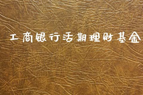 工商银行活期理财基金_https://www.fsyjjx.cn_问财精选_第1张