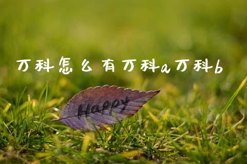 万科怎么有万科a万科b_https://www.fsyjjx.cn_期货研报_第1张