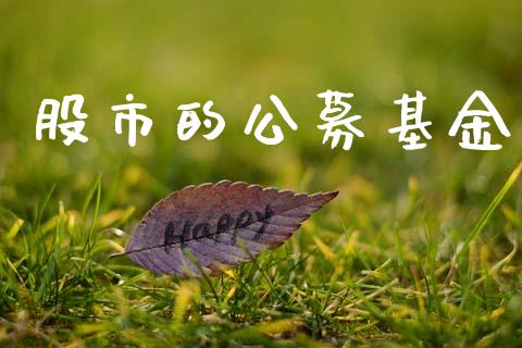 股市的公募基金_https://www.fsyjjx.cn_问财精选_第1张