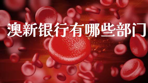 澳新银行有哪些部门_https://www.fsyjjx.cn_期货资讯_第1张