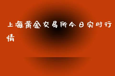上海黄金交易所今日实时行情_https://www.fsyjjx.cn_期货研报_第1张