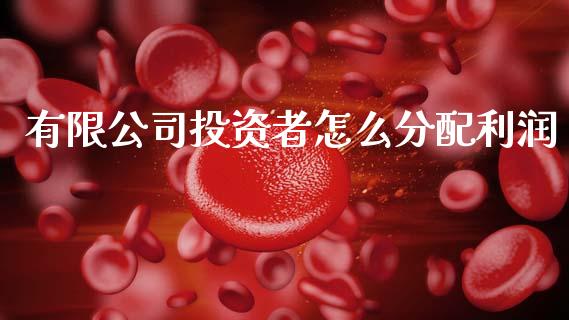 有限公司投资者怎么分配利润_https://www.fsyjjx.cn_股指期货_第1张