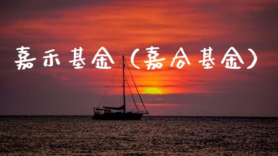 嘉禾基金（嘉合基金）_https://www.fsyjjx.cn_问财精选_第1张