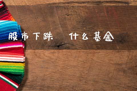 股市下跌   什么基金_https://www.fsyjjx.cn_理财资讯_第1张