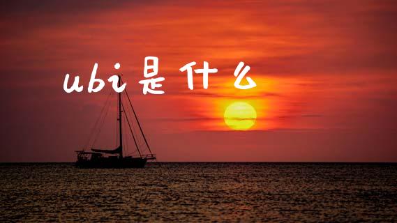 ubi是什么_https://www.fsyjjx.cn_问财精选_第1张