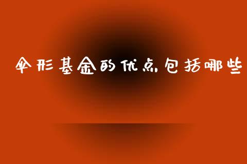 伞形基金的优点包括哪些_https://www.fsyjjx.cn_股指期货_第1张
